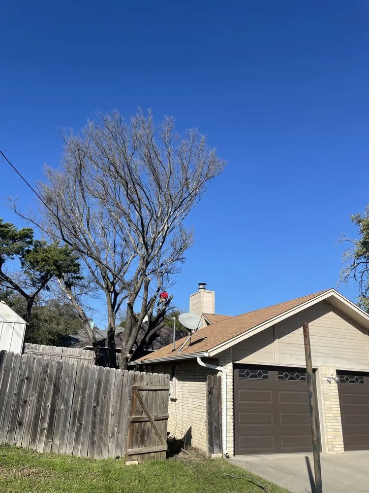 Custom landscape design for year-round maintenance in Georgetown, TX by Bodden’s Subcontractors