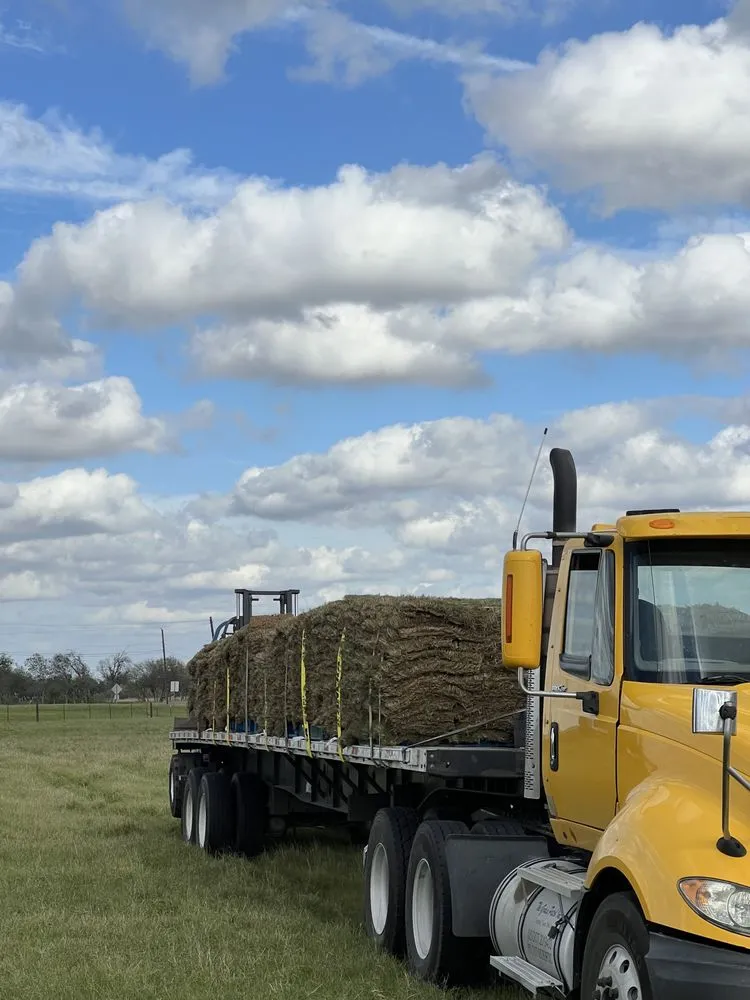 Expert garden landscaping experts serving Georgetown, TX - Bodden’s Subcontractors