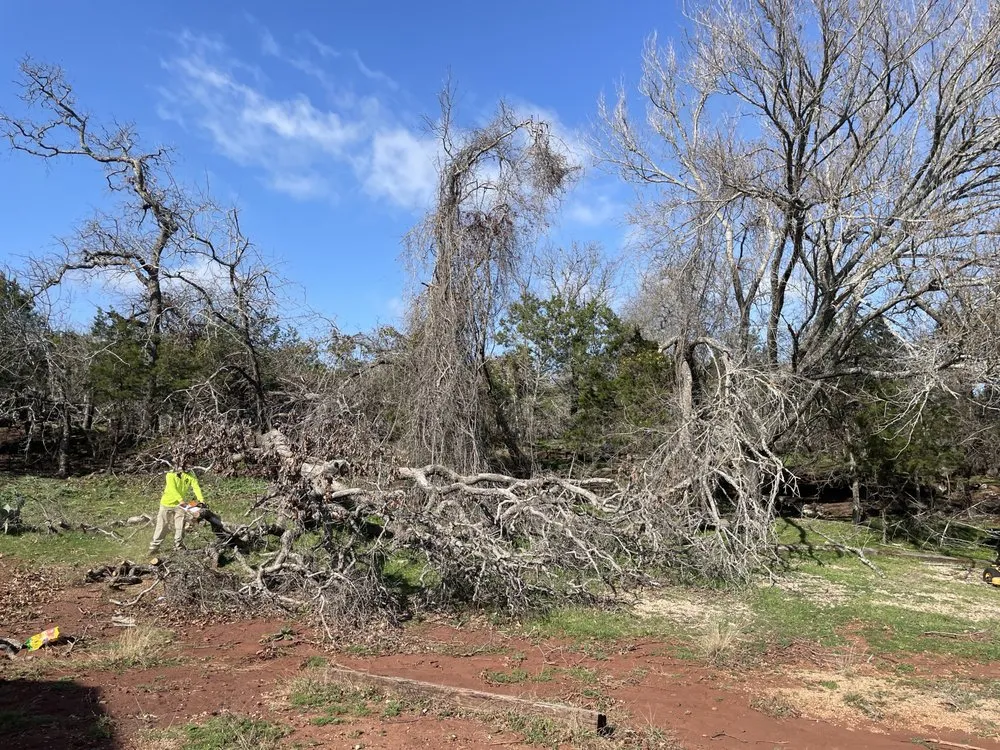 Affordable lawn mowing service for residential properties in Georgetown, TX by Bodden’s Subcontractors