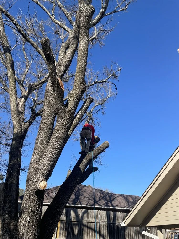 Top-rated lawn mowing service in Georgetown, TX by Bodden’s Subcontractors