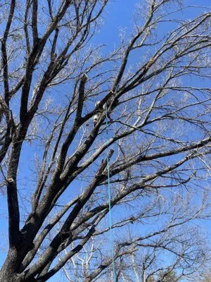 Bodden’s Subcontractors Logo