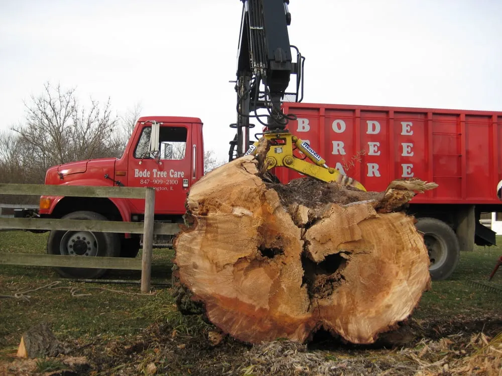 Top-rated lawn care service in Barrington, IL - Bode Tree Care