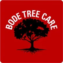 Top-rated residential landscaping in Barrington, IL - Bode Tree Care