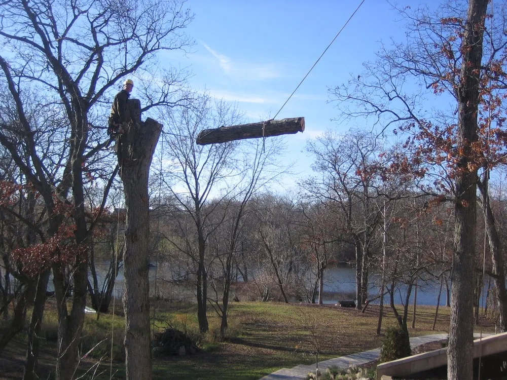 Reliable outdoor landscaping experts serving Barrington, IL - Bode Tree Care