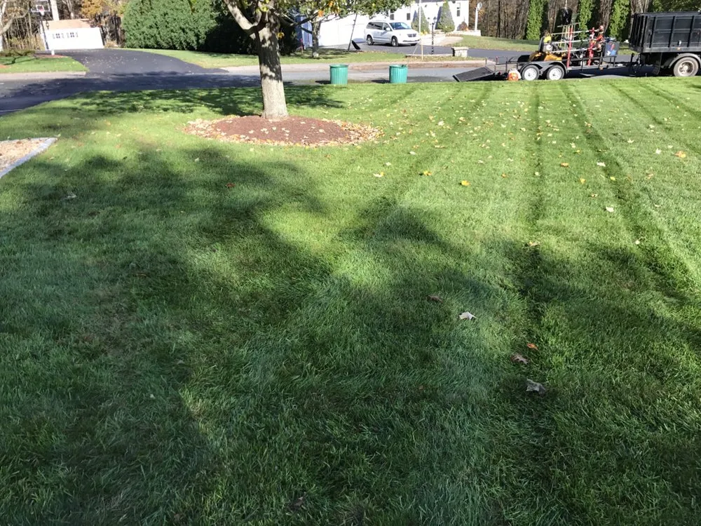 Local yard maintenance for homes in Milford, MA by Bodio Landscaping