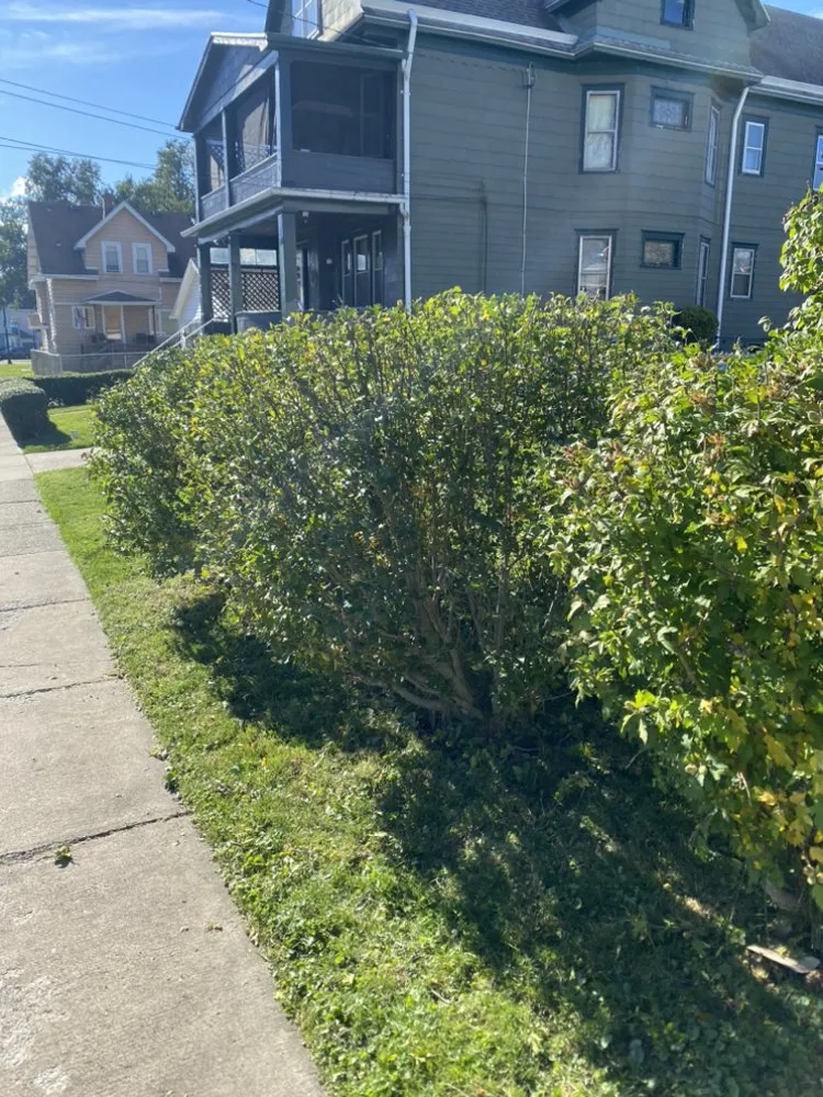 Local garden landscaping experts serving Buffalo, NY - Boeheim’s Landscape & Property Care