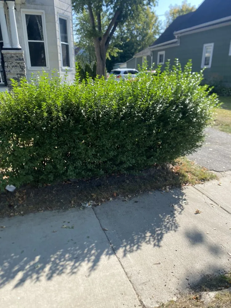 Professional landscaping services for homes across Buffalo, NY - Boeheim’s Landscape & Property Care