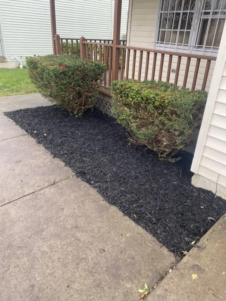 Expert lawn care service experts serving Buffalo, NY - Boeheim’s Landscape & Property Care