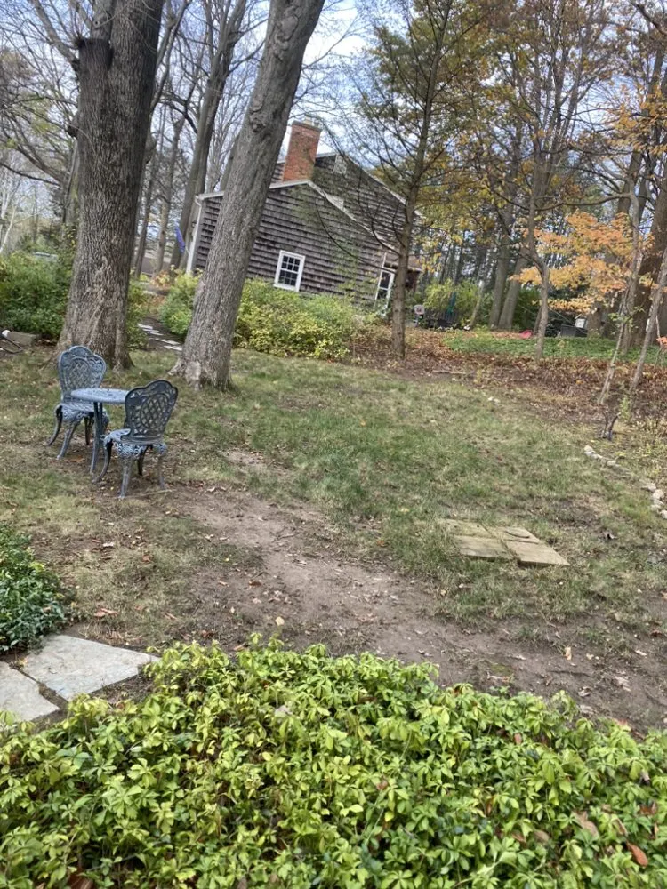 Custom yard cleanup service for homes across Buffalo, NY - Boeheim’s Landscape & Property Care