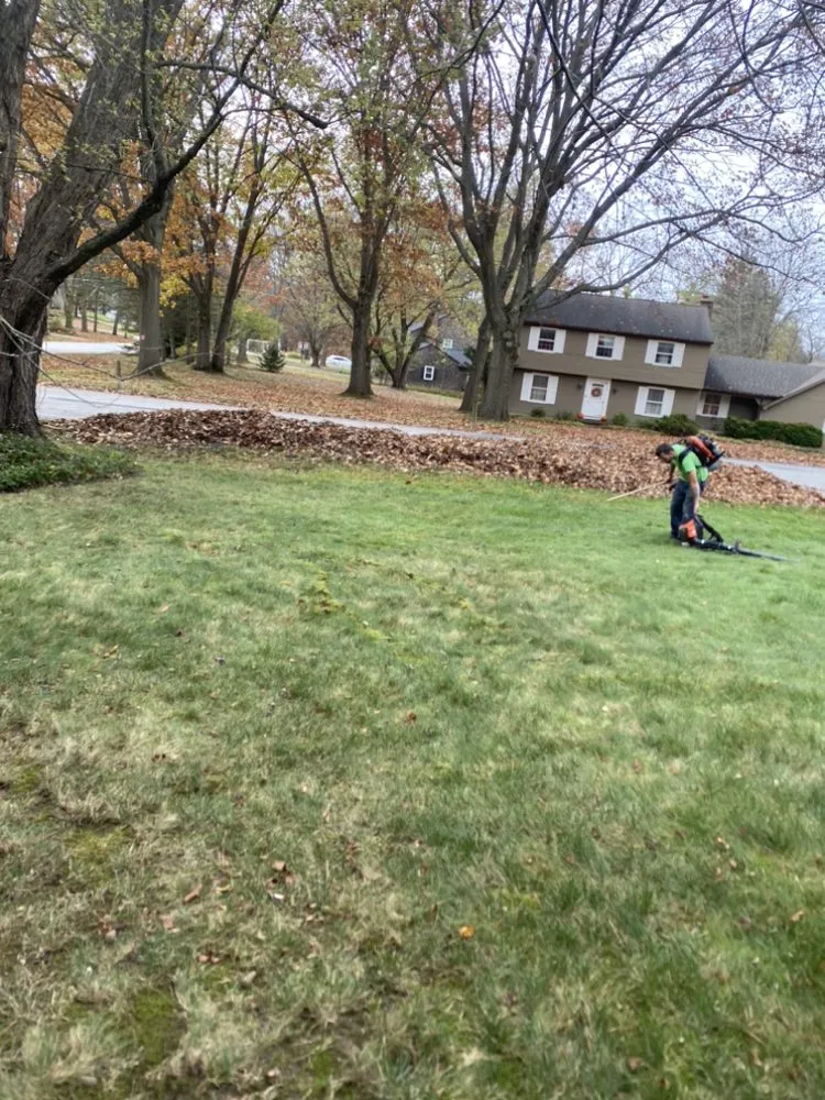 Expert residential landscaping for homes across Buffalo, NY - Boeheim’s Landscape & Property Care