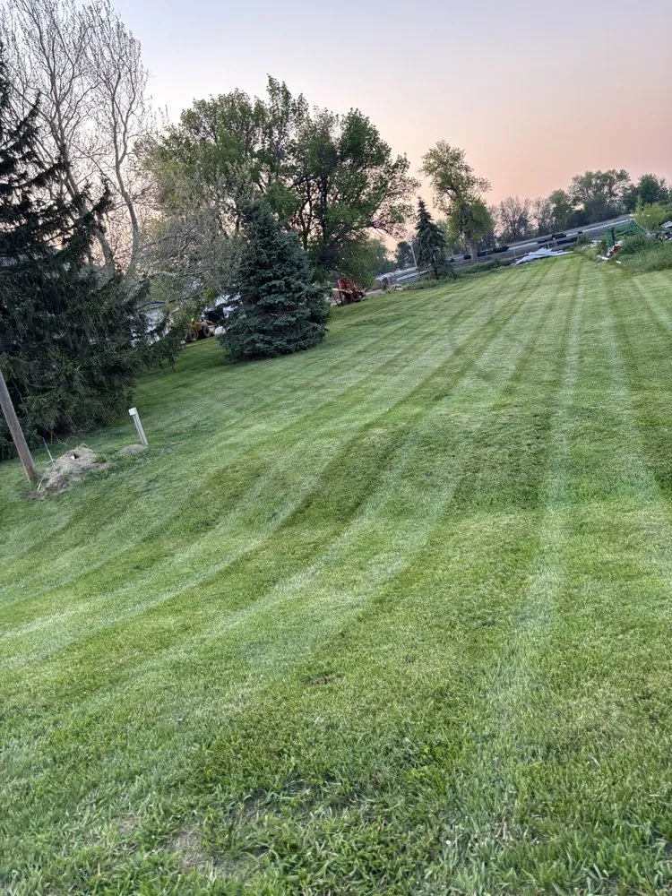 Expert landscape installation experts serving Lee's Summit, MO - Boellcuts