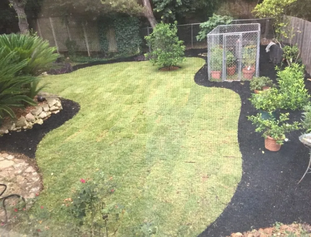 Professional lawn care service in San Antonio, TX - Boerjan'S Landscaping & Design