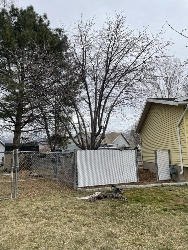 Trusted lawn care service in Orem, UT by Bogaardts Trees and Shrubs