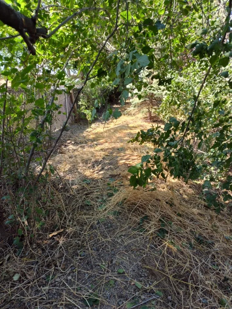 Affordable yard maintenance experts serving Orem, UT - Bogaardts Trees and Shrubs