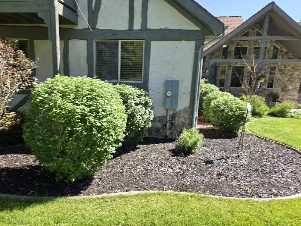 Top-rated garden landscaping for outdoor upgrades in Orem, UT by Bogaardts Trees and Shrubs