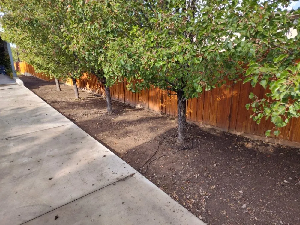 Reliable outdoor landscaping for year-round maintenance across Orem, UT - Bogaardts Trees and Shrubs