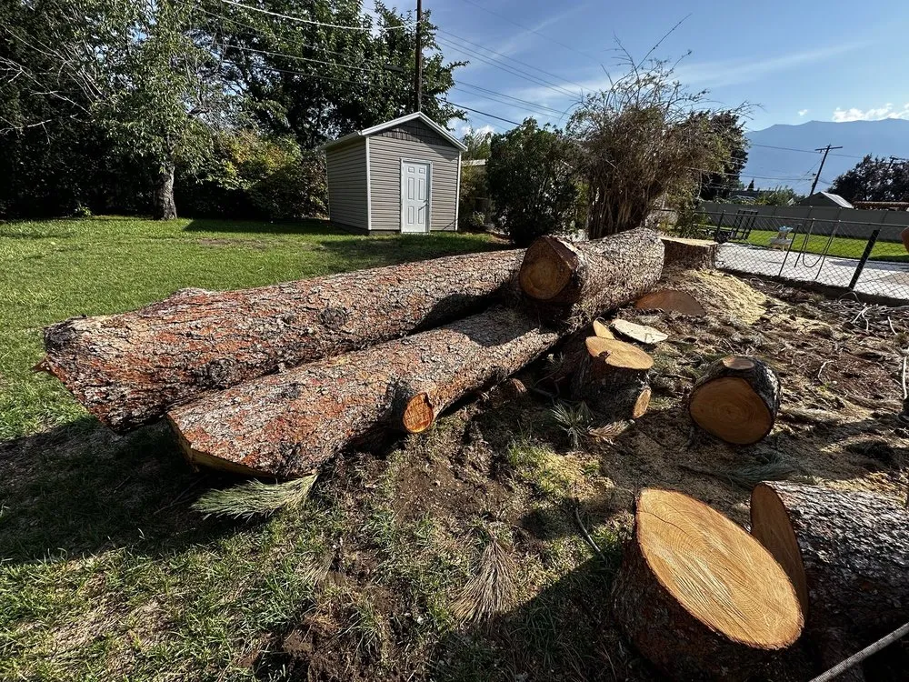 Affordable lawn care service near you in Orem, UT by Bogaardts Trees and Shrubs