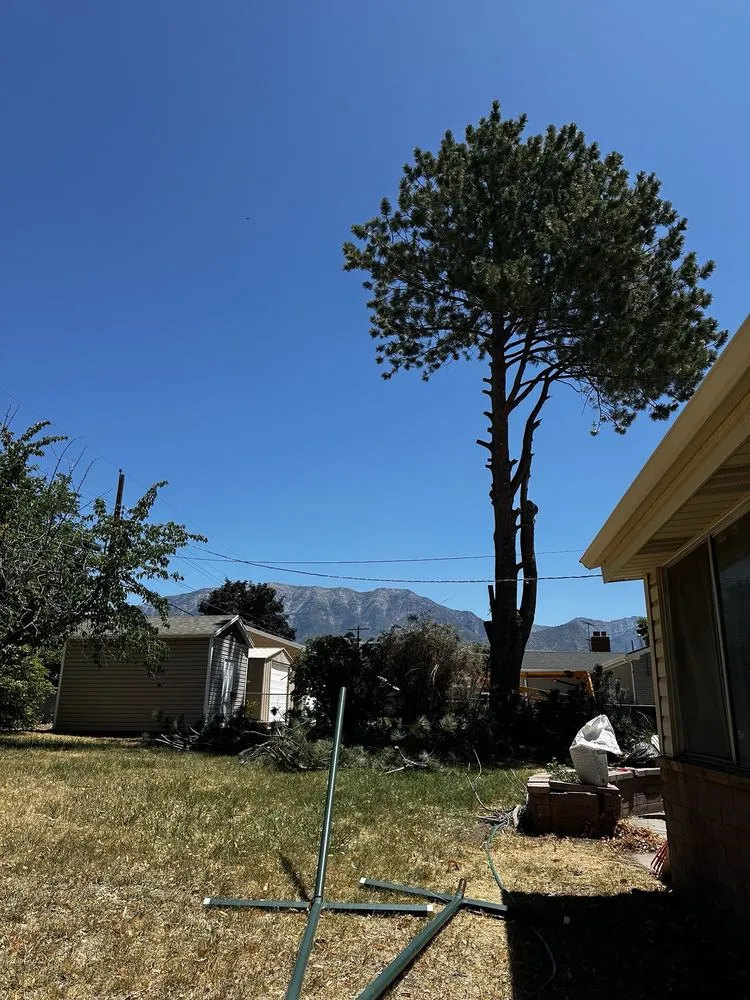 Local residential landscaping experts serving Orem, UT - Bogaardts Trees and Shrubs