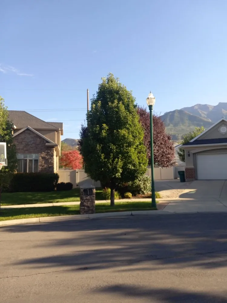 Professional landscape installation in Orem, UT by Bogaardts Trees and Shrubs