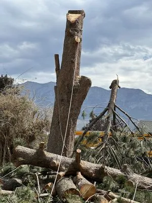 Bogaardts Trees and Shrubs