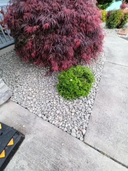 Local yard cleanup service in Woodland, WA - Bogar Landscaping LLC
