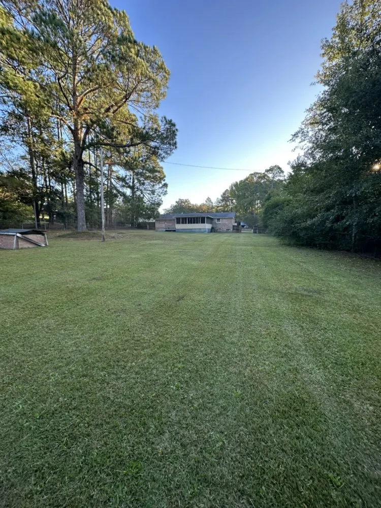 Custom yard maintenance for year-round maintenance in Canada, KY by Bogar Lawn Care