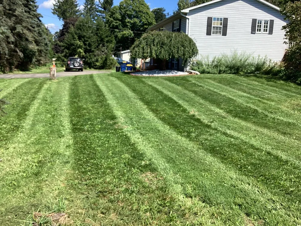 Affordable yard cleanup service for year-round maintenance across Owego, NY - Bogarts Lawn Care