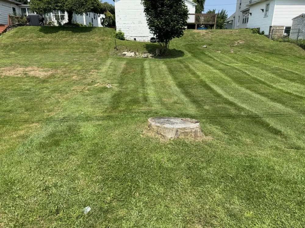 Local yard maintenance in Owego, NY - Bogarts Lawn Care