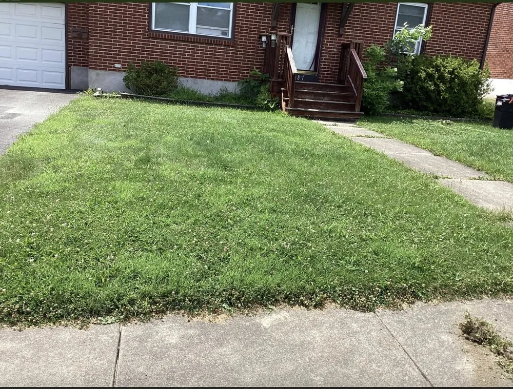 Expert landscape installation for year-round maintenance in Owego, NY by Bogarts Lawn Care