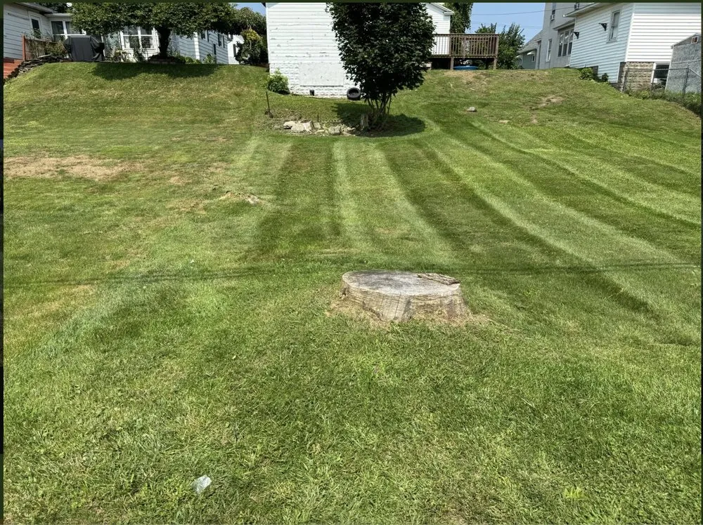 Top-rated landscape installation for year-round maintenance across Owego, NY - Bogarts Lawn Care