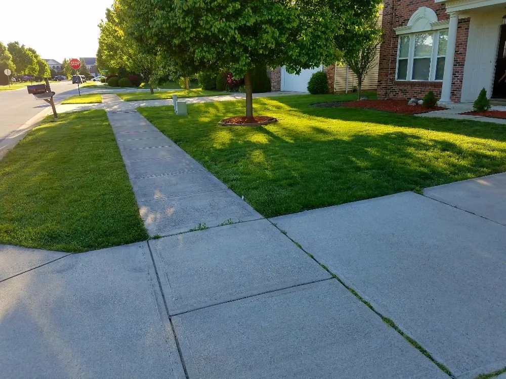 Trusted lawn care service experts serving Noblesville, IN - Bogdanoski Landscape
