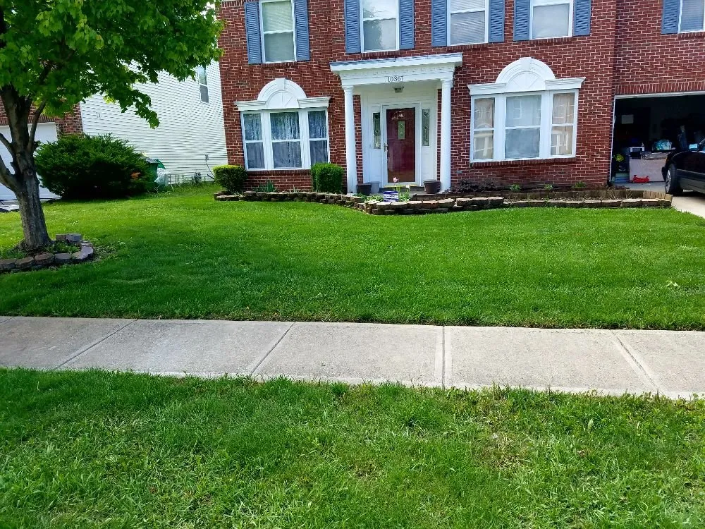 Affordable yard cleanup service in Noblesville, IN by Bogdanoski Landscape