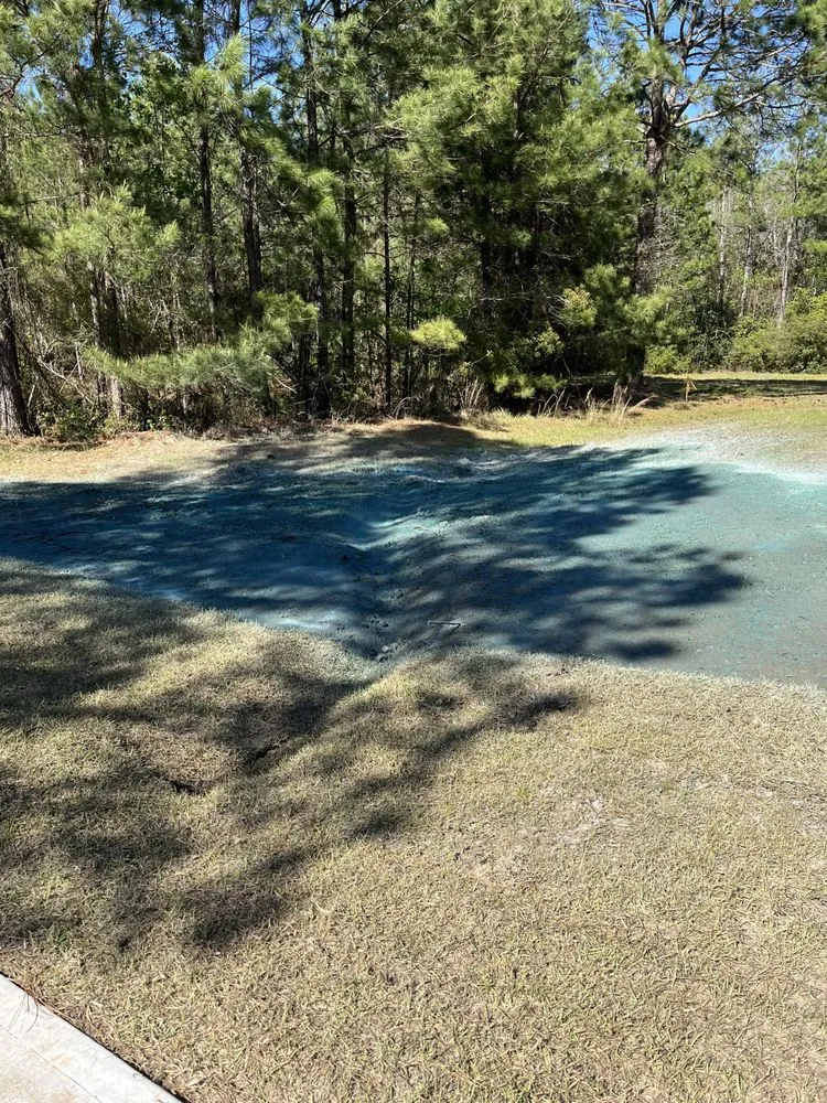 Expert yard cleanup service in Portal, GA - Boggs Hydroseeding & Erosion Control