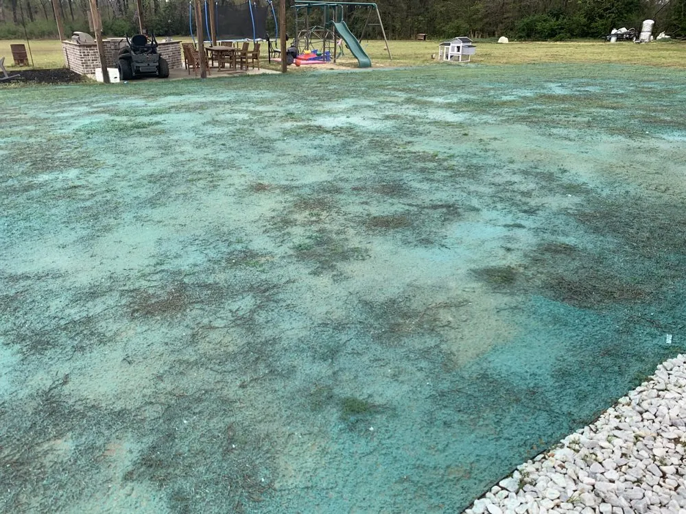 Local garden landscaping for year-round maintenance across Portal, GA - Boggs Hydroseeding & Erosion Control