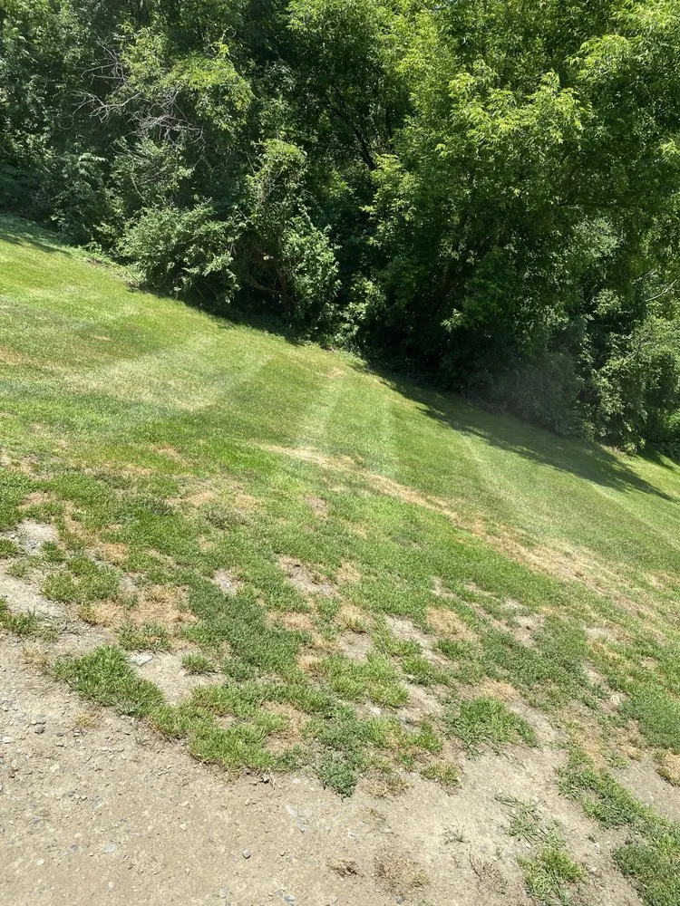 Custom landscape design in South Ryegate, VT by Bogies Lawn Care