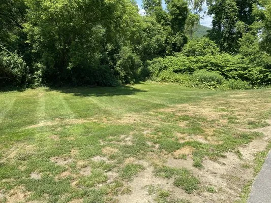 Bogies Lawn Care