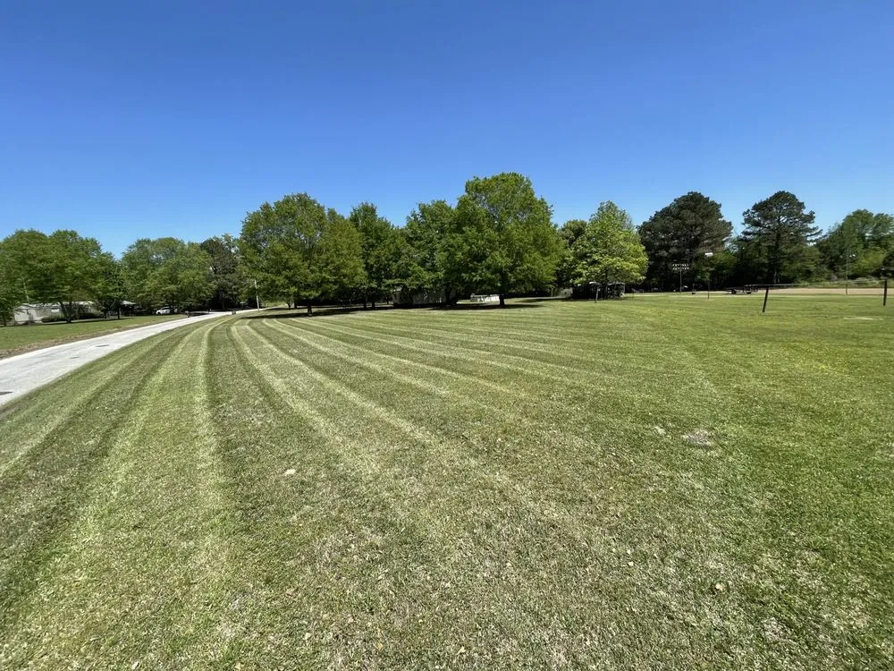 Local yard cleanup service in Etta, MS - Bogue Lawn Care