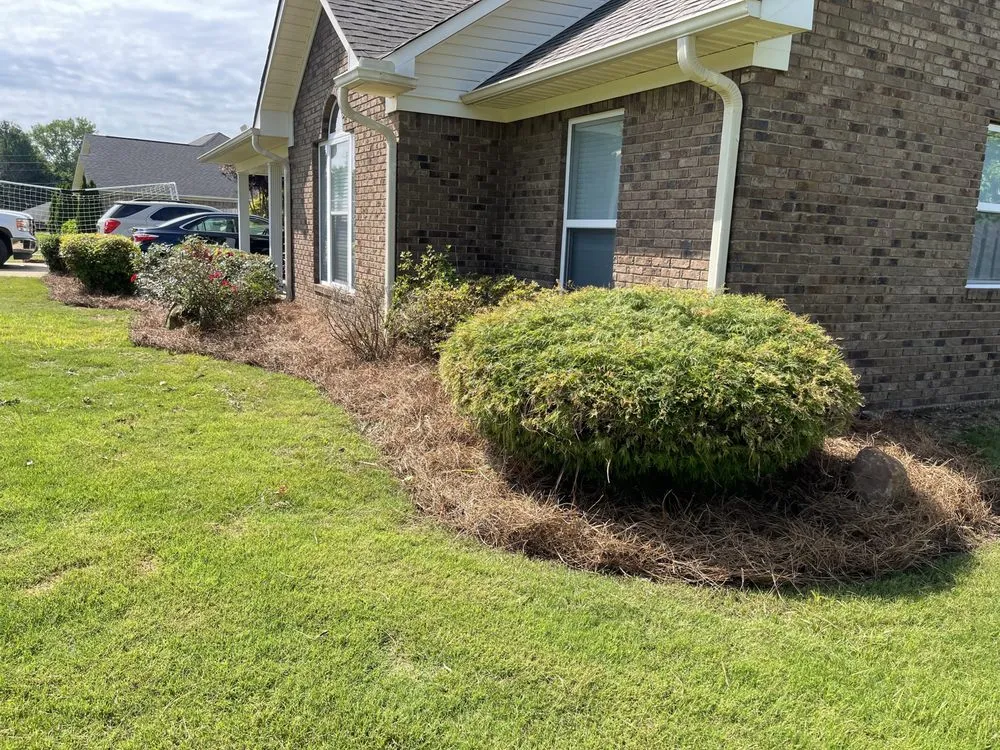 Top-rated landscape design for homes in Etta, MS by Bogue Lawn Care