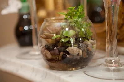 Reliable yard maintenance in Mattituck, NY - Bohemian Rose Designs