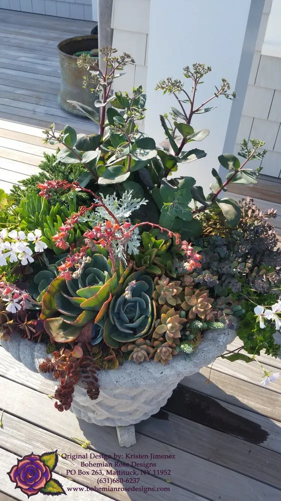 Reliable lawn care service in Mattituck, NY by Bohemian Rose Designs