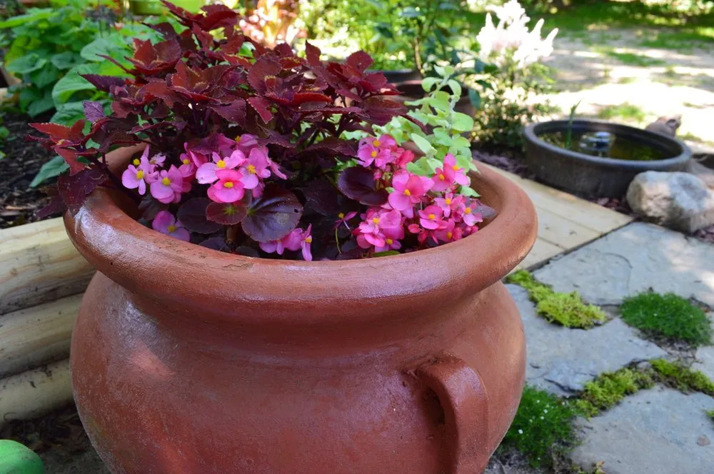 Local residential landscaping in Mattituck, NY - Bohemian Rose Designs