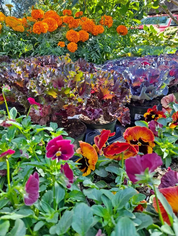 Professional landscape design for beautiful yards across Mattituck, NY - Bohemian Rose Designs