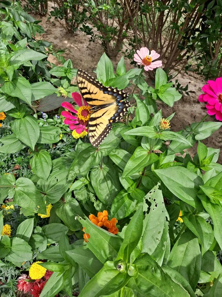 Custom landscape design experts serving Mattituck, NY - Bohemian Rose Designs