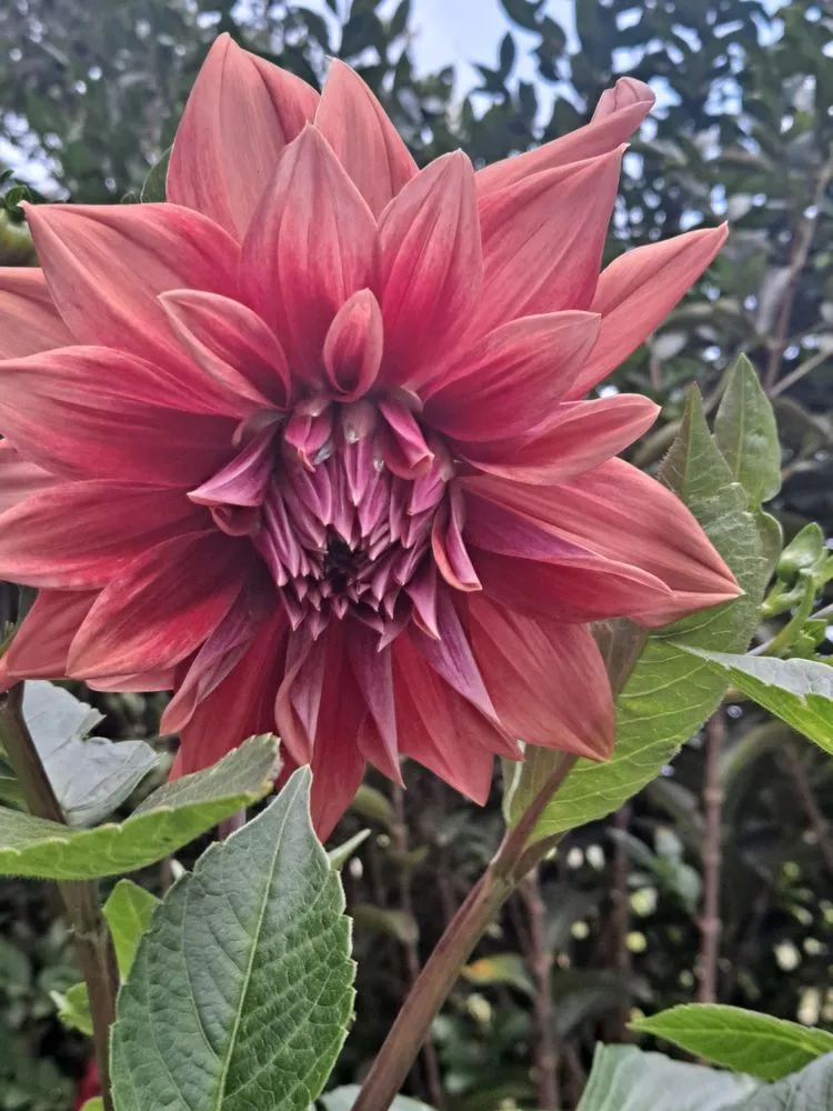 Top-rated landscape design near you across Mattituck, NY - Bohemian Rose Designs