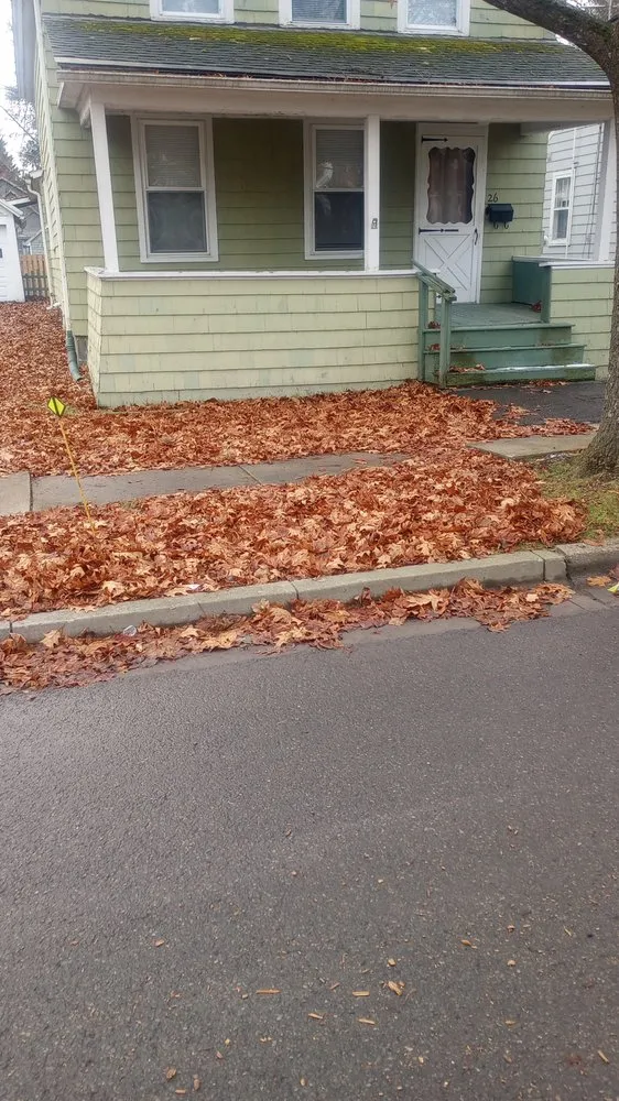 Affordable landscaping services in Sherburne, NY by Bohndorf Turf Care and Service