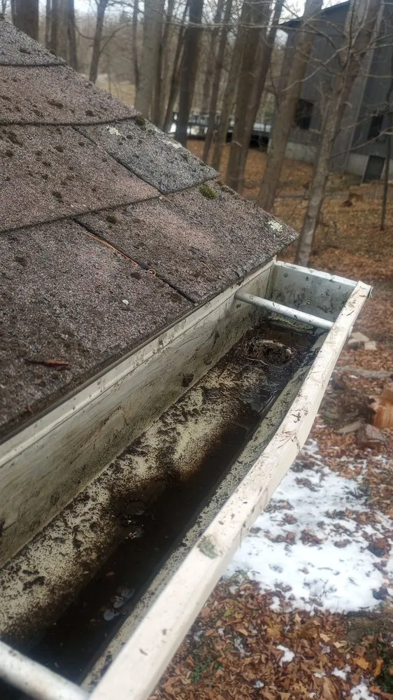 Local lawn care service in Sherburne, NY by Bohndorf Turf Care and Service