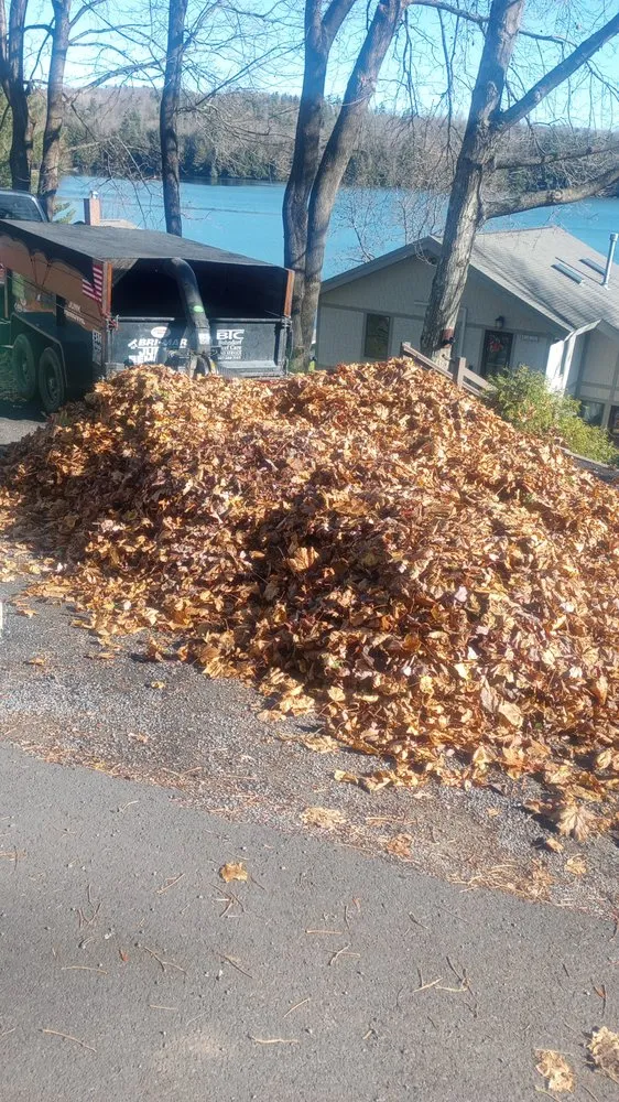 Trusted yard cleanup service in Sherburne, NY - Bohndorf Turf Care and Service