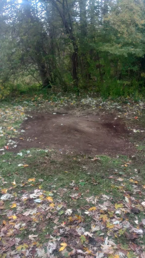 Local landscape design experts serving Sherburne, NY - Bohndorf Turf Care and Service