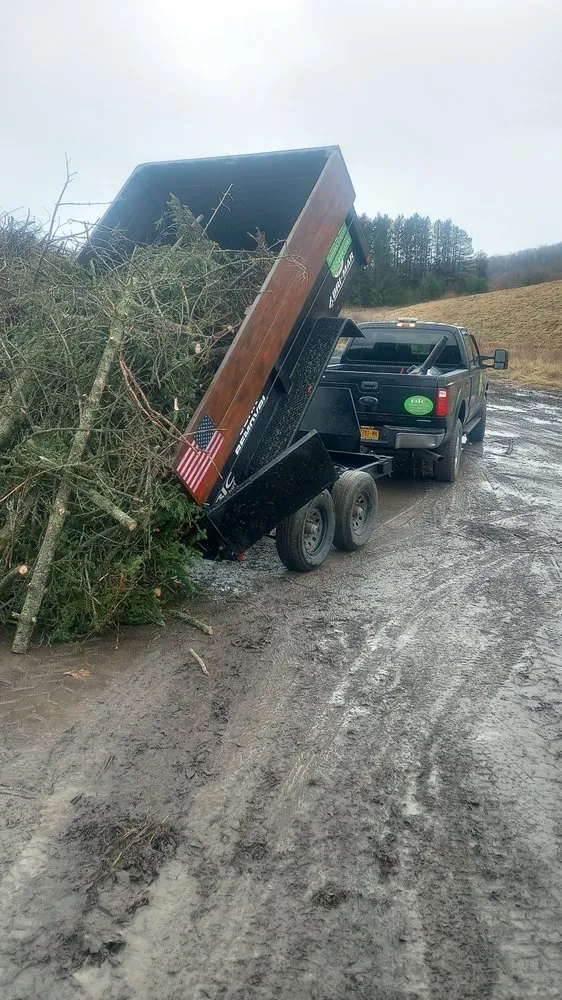 Professional yard cleanup service in Sherburne, NY - Bohndorf Turf Care and Service