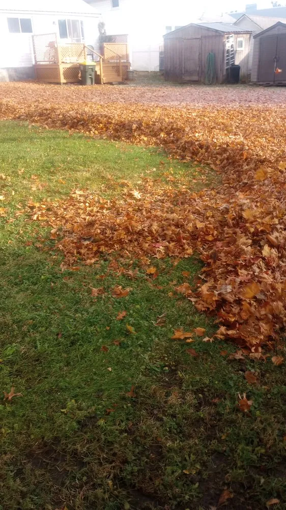 Local lawn care service for homes across Sherburne, NY - Bohndorf Turf Care and Service